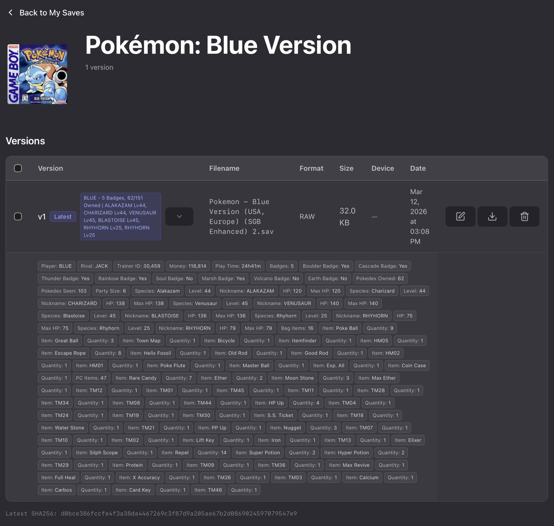 Parsed in-game info: party, items, play time.